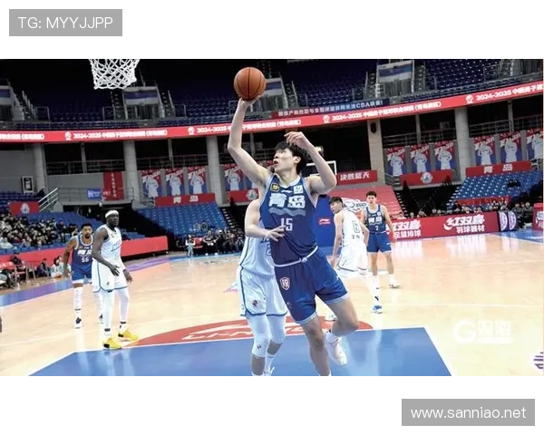 2015高中篮球联赛(2015年全国男子篮球联赛)sports